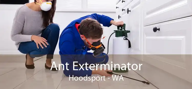 Ant Exterminator Hoodsport - WA