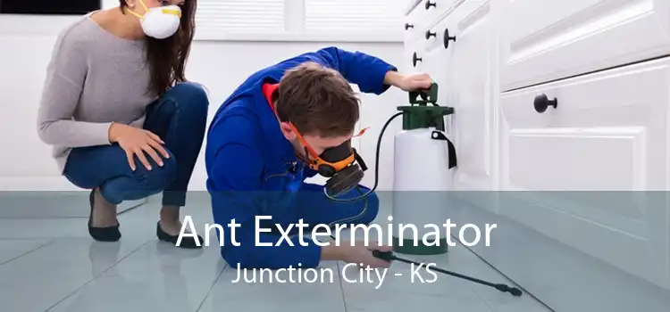 Ant Exterminator Junction City - KS