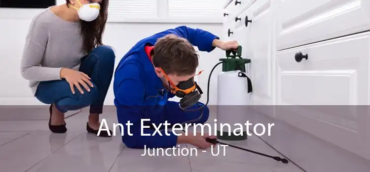 Ant Exterminator Junction - UT