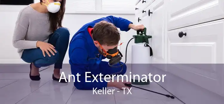 Ant Exterminator Keller - TX