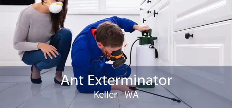 Ant Exterminator Keller - WA