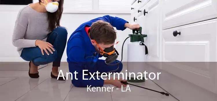 Ant Exterminator Kenner - LA