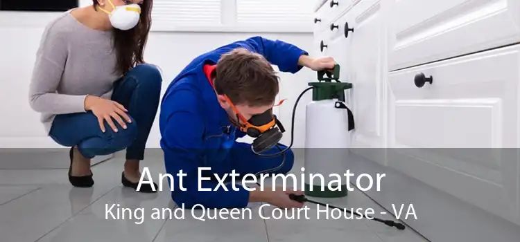 Ant Exterminator King and Queen Court House - VA