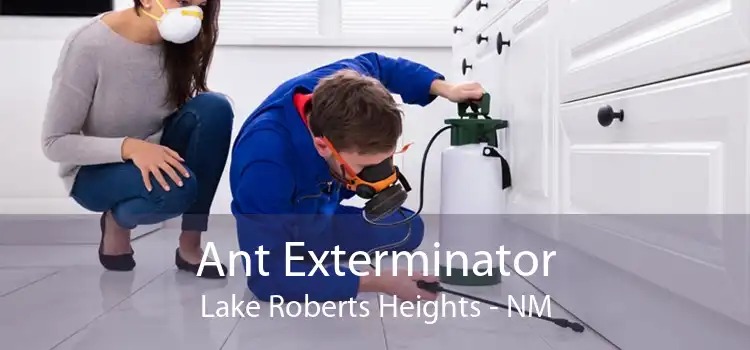 Ant Exterminator Lake Roberts Heights - NM