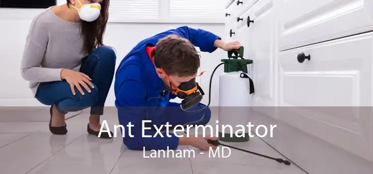 Ant Exterminator Lanham - MD