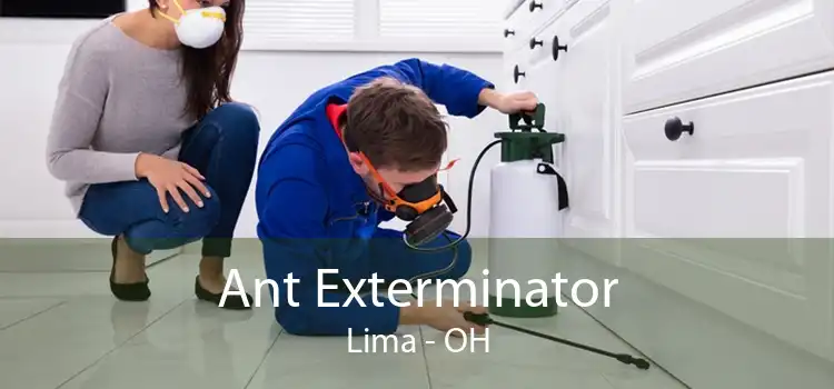 Ant Exterminator Lima - OH