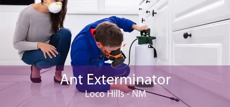 Ant Exterminator Loco Hills - NM