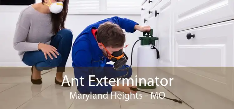 Ant Exterminator Maryland Heights - MO