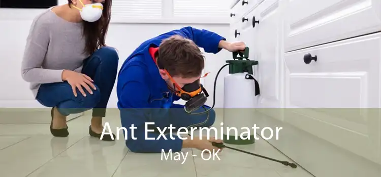 Ant Exterminator May - OK