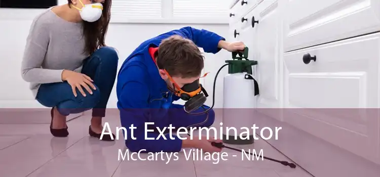 Ant Exterminator McCartys Village - NM