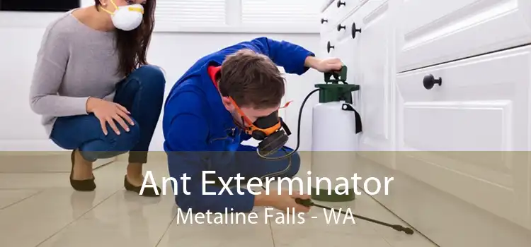 Ant Exterminator Metaline Falls - WA