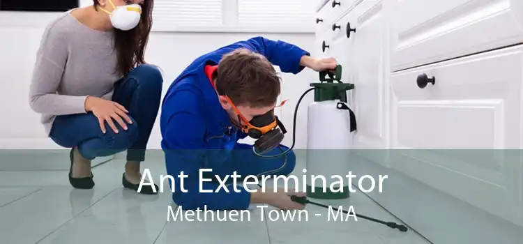 Ant Exterminator Methuen Town - MA