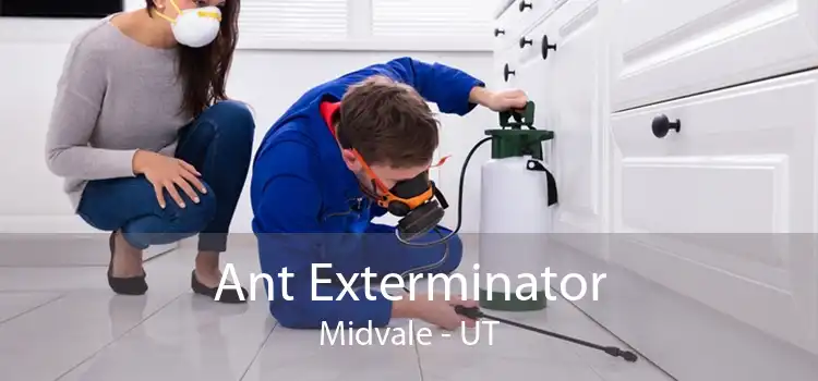 Ant Exterminator Midvale - UT