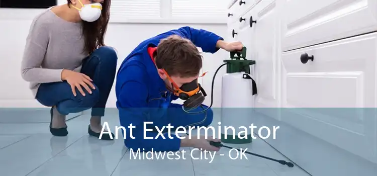 Ant Exterminator Midwest City - OK