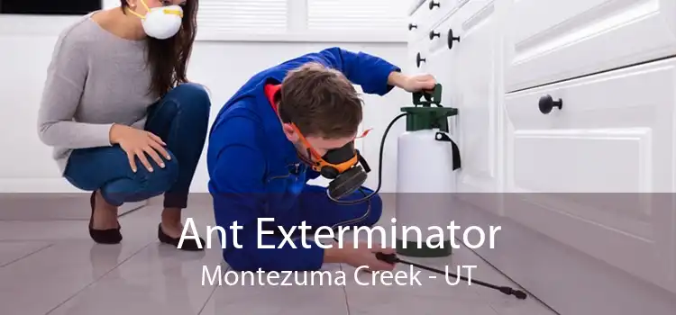 Ant Exterminator Montezuma Creek - UT