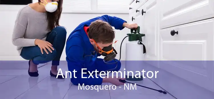 Ant Exterminator Mosquero - NM