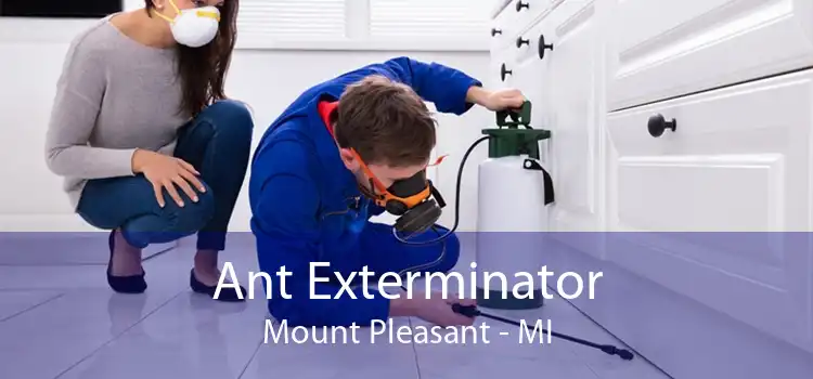 Ant Exterminator Mount Pleasant - MI