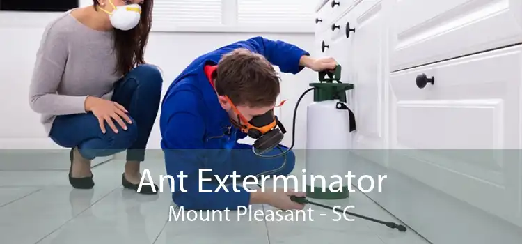 Ant Exterminator Mount Pleasant - SC