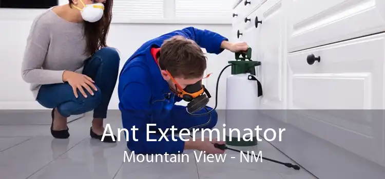 Ant Exterminator Mountain View - NM