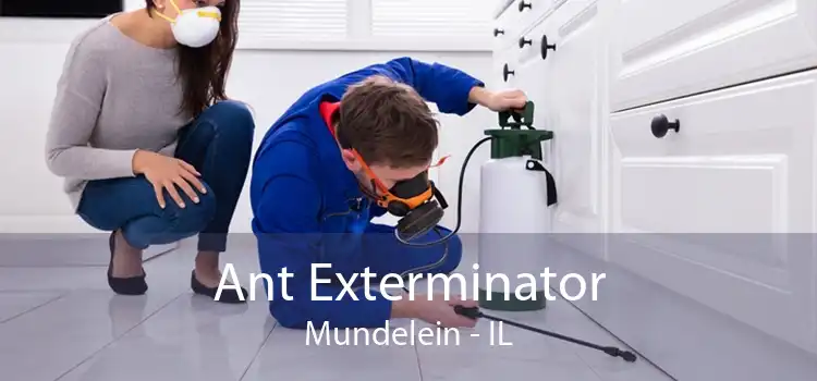 Ant Exterminator Mundelein - IL