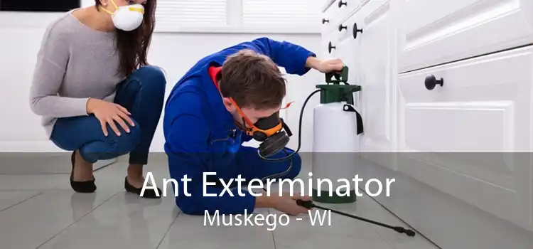 Ant Exterminator Muskego - WI