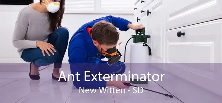 Ant Exterminator New Witten - SD