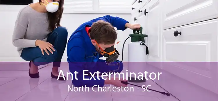 Ant Exterminator North Charleston - SC