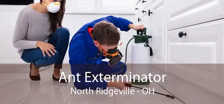 Ant Exterminator North Ridgeville - OH