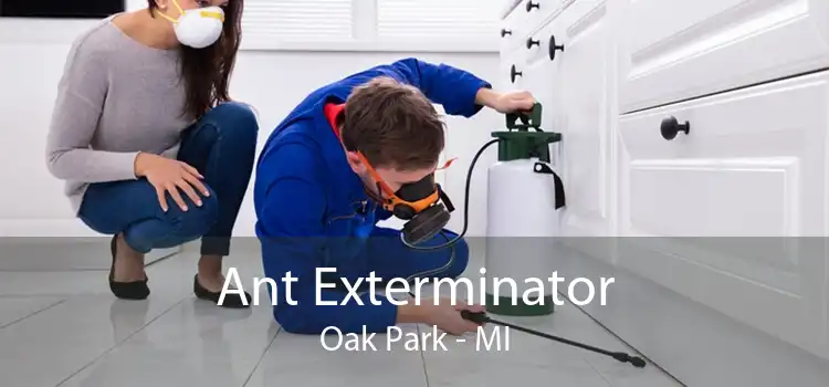 Ant Exterminator Oak Park - MI