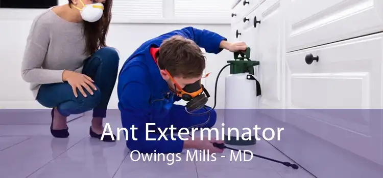 Ant Exterminator Owings Mills - MD