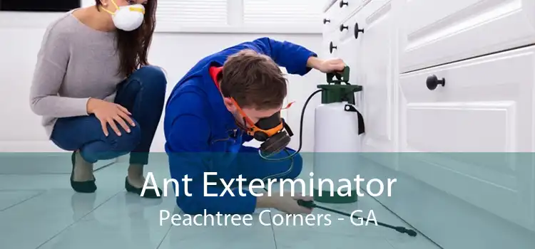 Ant Exterminator Peachtree Corners - GA