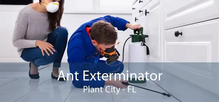 Ant Exterminator Plant City - FL