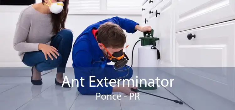 Ant Exterminator Ponce - PR