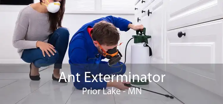 Ant Exterminator Prior Lake - MN