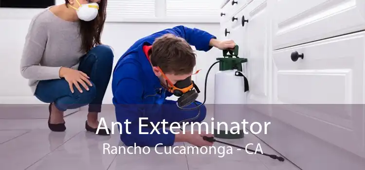 Ant Exterminator Rancho Cucamonga - CA