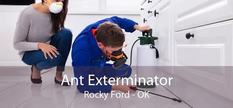 Ant Exterminator Rocky Ford - OK