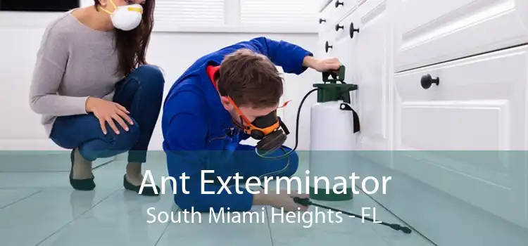 Ant Exterminator South Miami Heights - FL