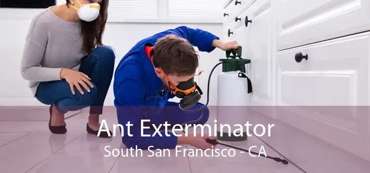 Ant Exterminator South San Francisco - CA