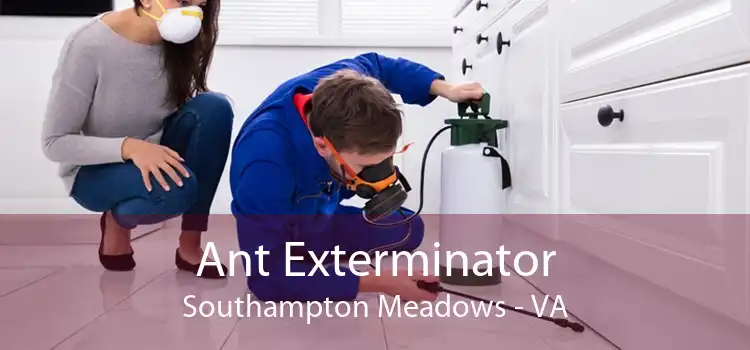 Ant Exterminator Southampton Meadows - VA