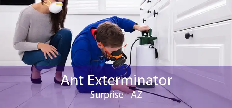 Ant Exterminator Surprise - AZ