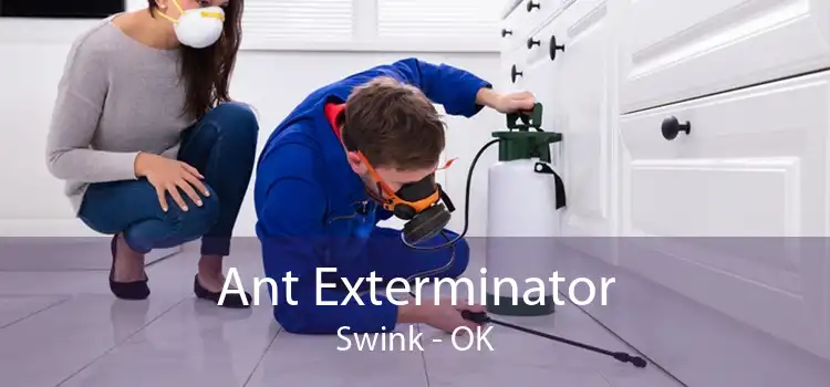 Ant Exterminator Swink - OK