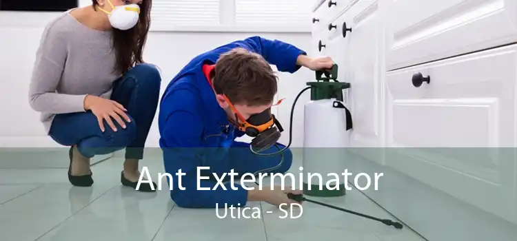 Ant Exterminator Utica - SD