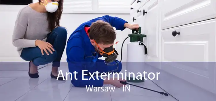 Ant Exterminator Warsaw - IN