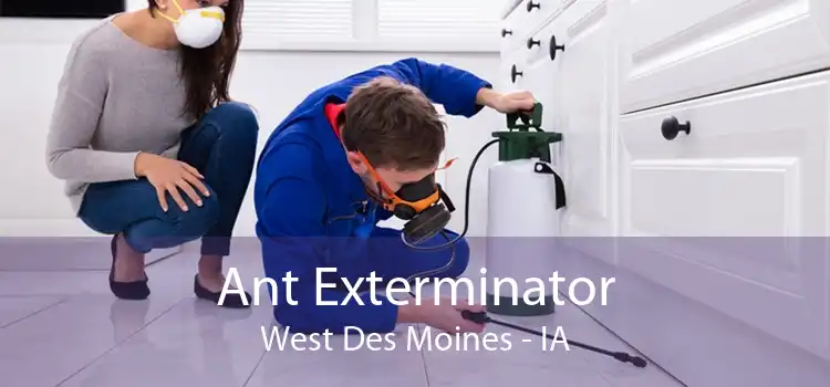 Ant Exterminator West Des Moines - IA