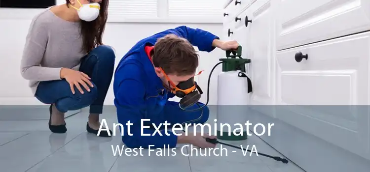 Ant Exterminator West Falls Church - VA