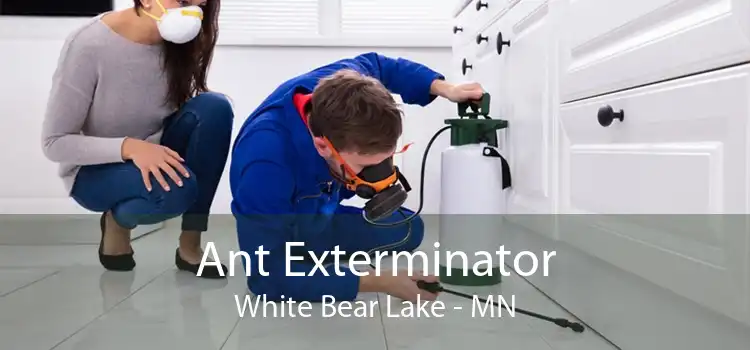 Ant Exterminator White Bear Lake - MN