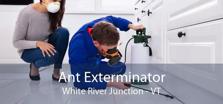 Ant Exterminator White River Junction - VT