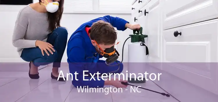 Ant Exterminator Wilmington - NC