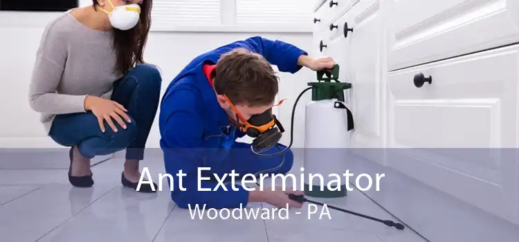 Ant Exterminator Woodward - PA