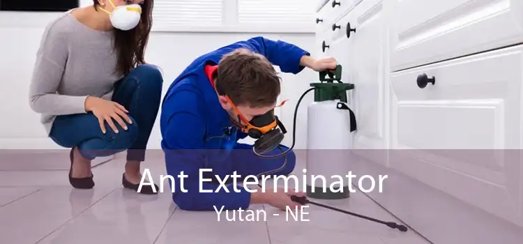 Ant Exterminator Yutan - NE